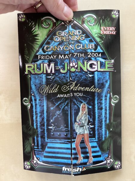 RumJungle-WeMoved-fullpfold-F